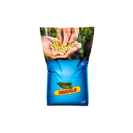 Seminte porumb Dekalb 5075 - 80.000 boabe