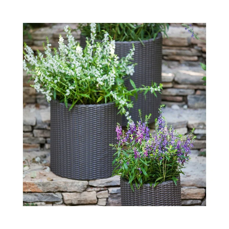 Set 3 ghivece de flori pentru grădină sau terasă Keter Cylinder - maro