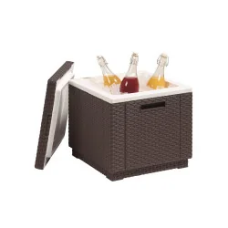 Ladă frigorifică grădină Keter Ice Cube - maro