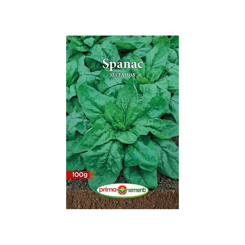 Seminte de spanac Matador 100gr