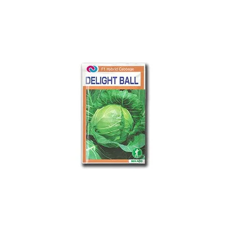 Seminte de varza alba Delight Ball F1