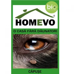 Homevo pulbere anti capuse BIO