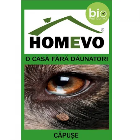 Homevo pulbere anti capuse BIO
