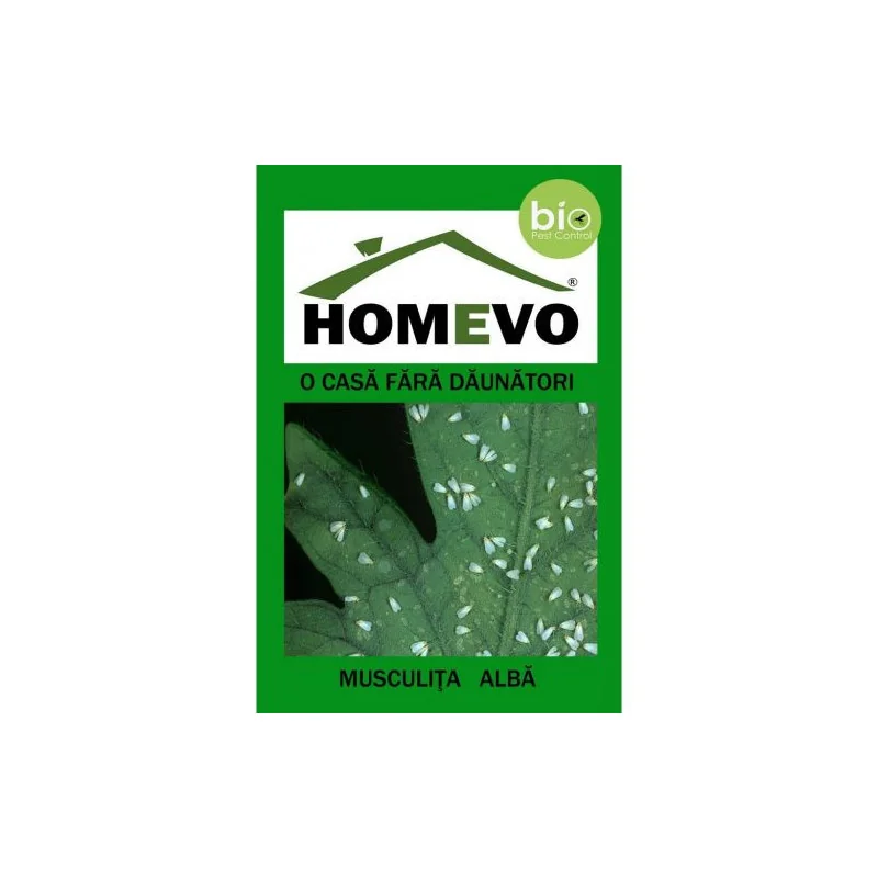 Pulbere bio impotriva musculitei albe Homevo