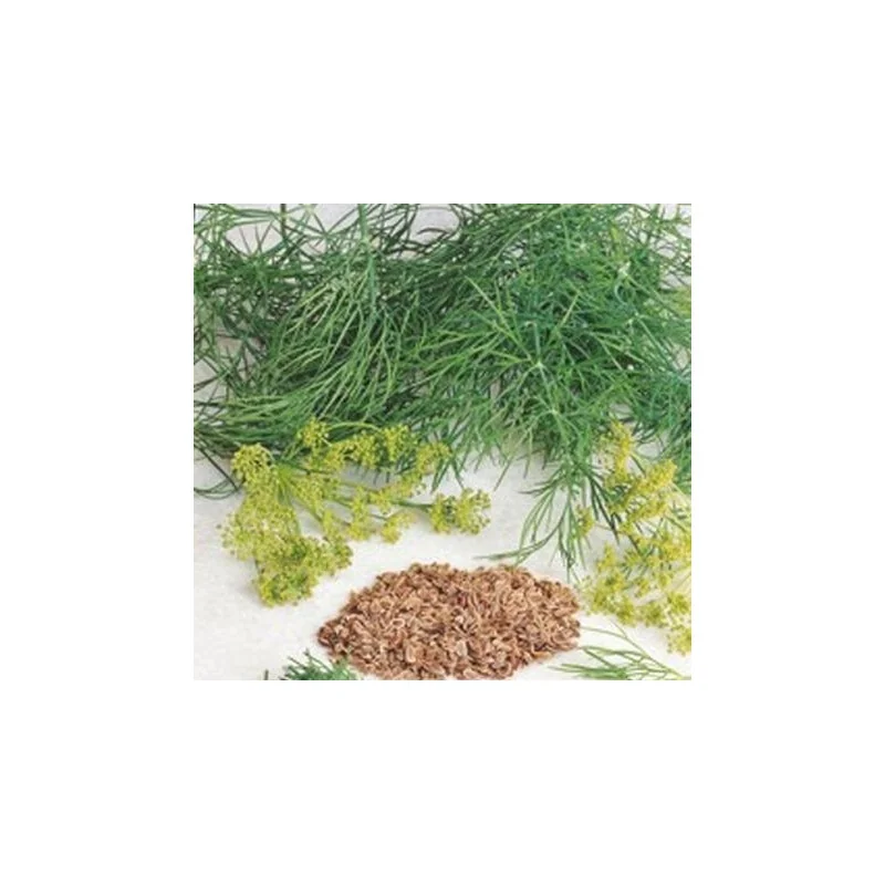 Marar Commun 0.5 kg