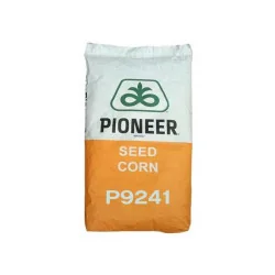 P9241 Aquamax - semințe porumb Pioneer - 80.000 boabe