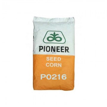 P0216 Aquamax - semințe porumb Pioneer - 80.000 boabe
