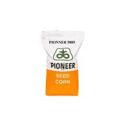 P9889 Aquamax – semințe porumb Pioneer – 80.000 boabe - Plantmaster - Maestrul Culturii Tale