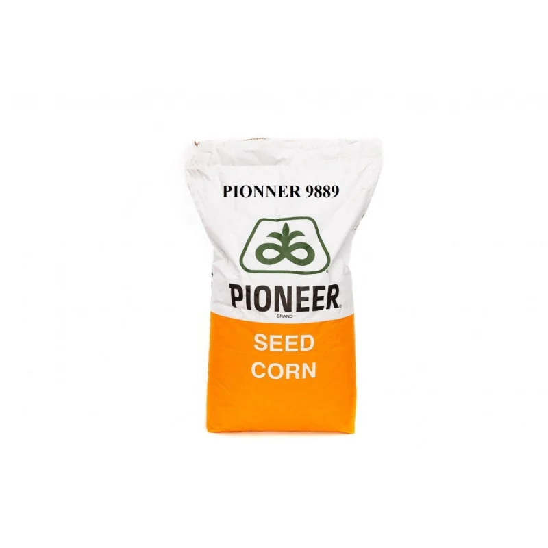 P9889 Aquamax – semințe porumb Pioneer – 80.000 boabe - Plantmaster - Maestrul Culturii Tale