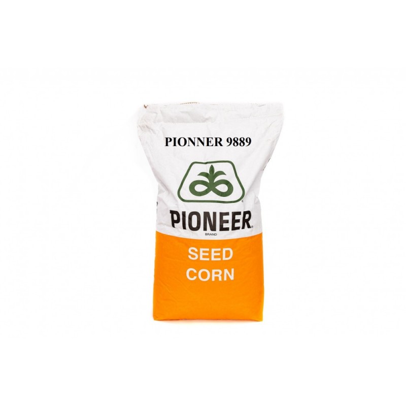 P9889 Aquamax – semințe porumb Pioneer – 80.000 boabe