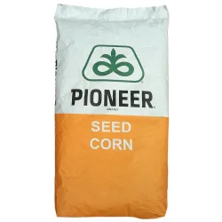 P9757- Seminte Porumb Pioneer -80.000 boabe - Plantmaster - Maestrul Culturii Tale