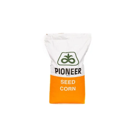 P0900- Seminte Porumb Pioneer- 80.000 boabe - Plantmaster - Maestrul Culturii Tale