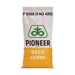 P0268- Seminte Porumb Pioneer Grain Silo - Plantmaster - Maestrul Culturii Tale