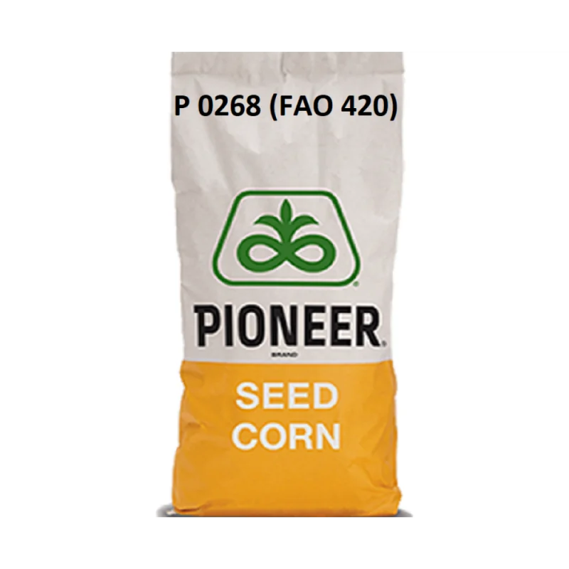 P0268- Seminte Porumb Pioneer Grain Silo - Plantmaster - Maestrul Culturii Tale