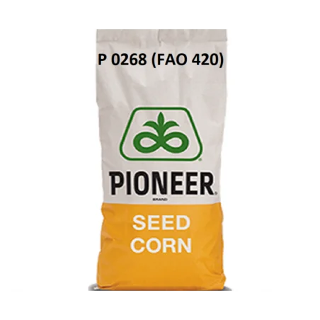 P0268- Seminte Porumb Pioneer Grain Silo - Plantmaster - Maestrul Culturii Tale