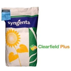 Seminte floarea soarelui SY Bacardi Syngenta Clearfield Plus - Plantmaster - Maestrul Culturii Tale