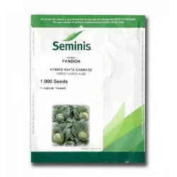 Seminte Varza PANDION F1 Seminis - 1.000 seminte - Plantmaster - Maestrul Culturii Tale