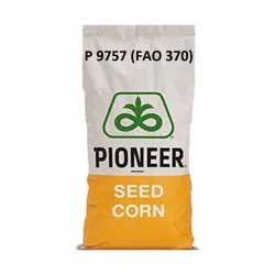 P9757-Samanta Porumb Pioneer- 25.000 boabe - Plantmaster - Maestrul Culturii Tale
