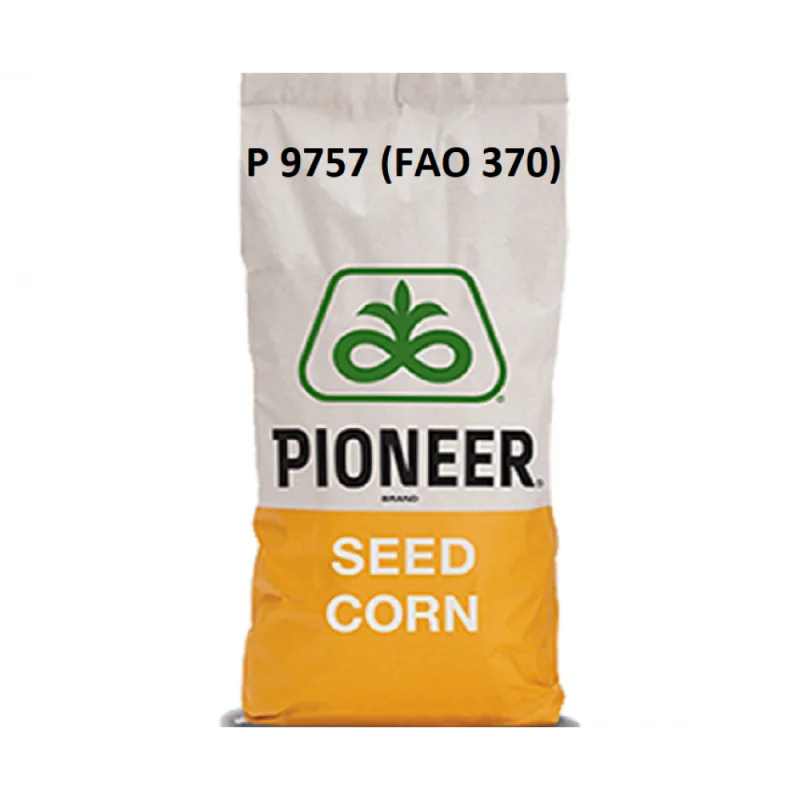 P9757-Samanta Porumb Pioneer- 25.000 boabe - Plantmaster - Maestrul Culturii Tale