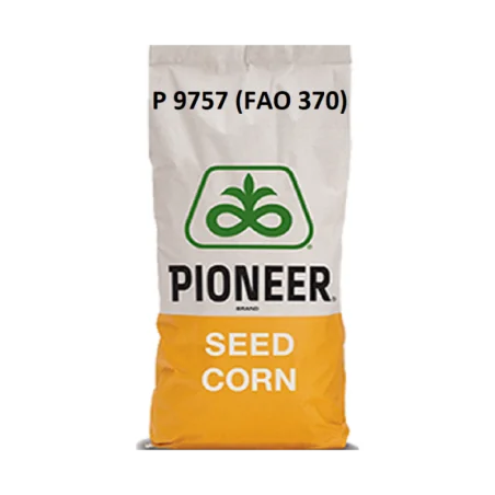 P9757-Samanta Porumb Pioneer- 25.000 boabe - Plantmaster - Maestrul Culturii Tale
