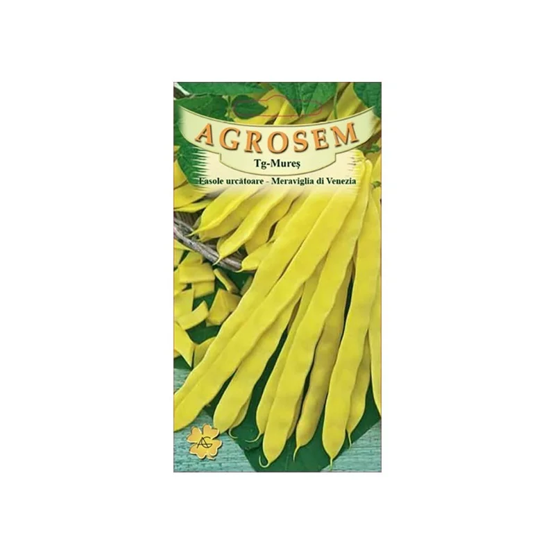 Semințe de fasole urcătoare Meraviglia di Venezia 50G, Agrosem - Plantmaster - Maestrul Culturii Tale
