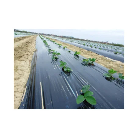 Folie de mulcire UV stabil 1x50m