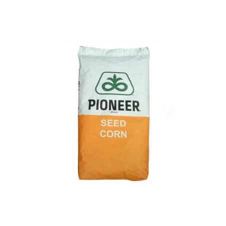 P9537 Seminte de porumb Pioneer 25.000 boabe