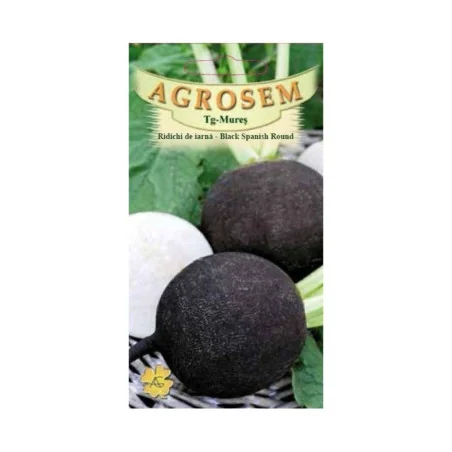 Seminte ridich de iarna Black Spanish Round, Agrosem