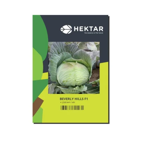 Seminte Varza BEVERLY HILLS F1 Hektar - 2500 seminte - Plantmaster - Maestrul Culturii Tale