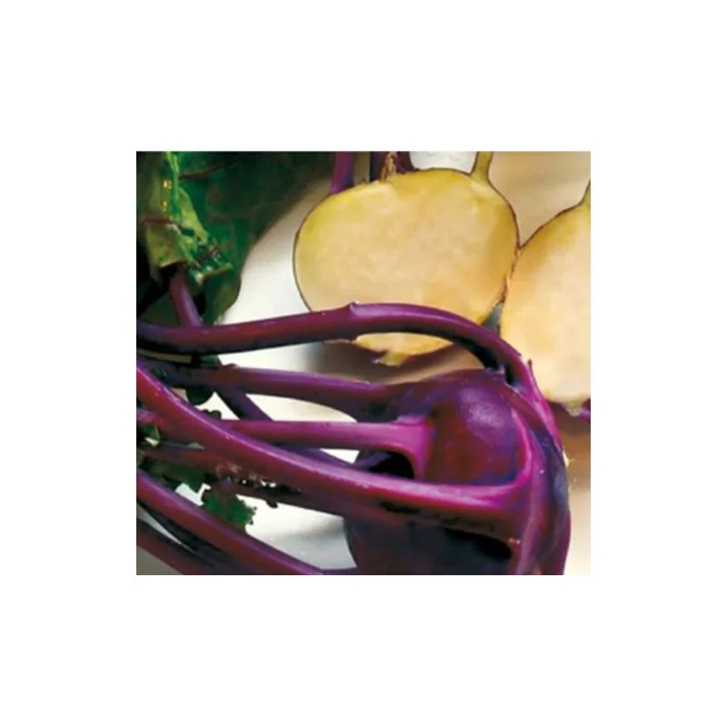 Seminte de gulioare Delicacy Purple, Holland Farming 10G