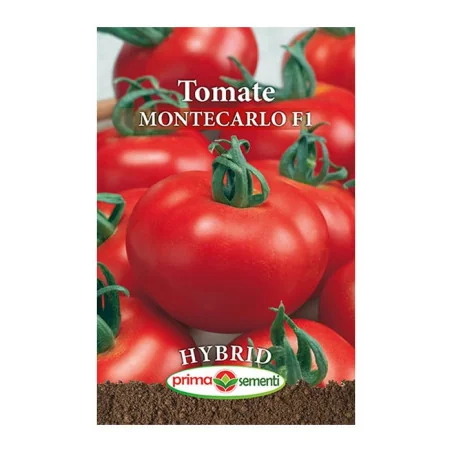 Seminte tomate Montecarlo F1