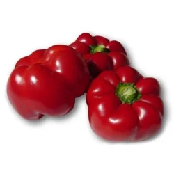 Seminte ardei gogosari Cornel, 24471, Holland Farming 10G