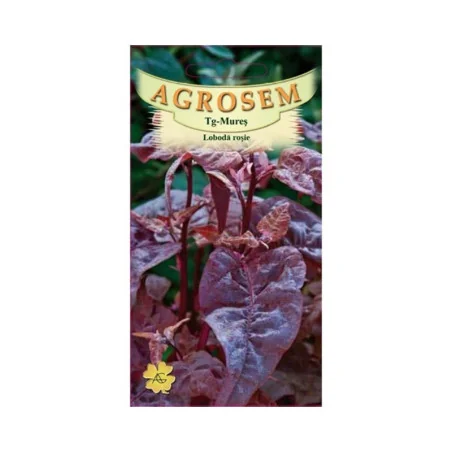 Seminte de loboda rosie, Agrosem 4Gr.