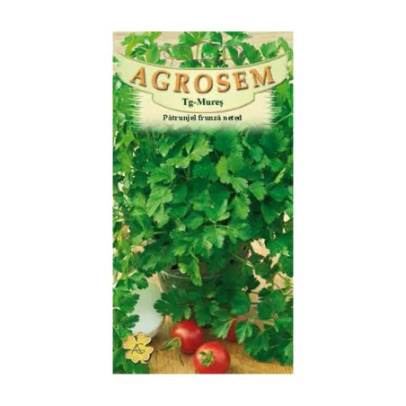 Seminte patrunjel frunza neted, Agrosem 4Gr.