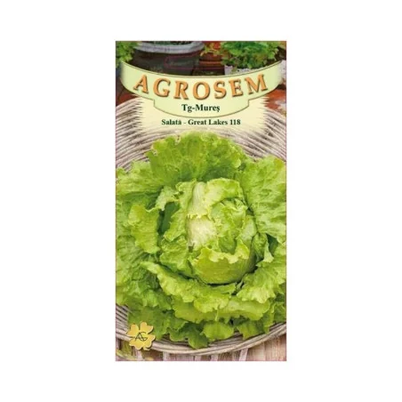 Seminte de salata - Great Lakes 118, Agrosem 4Gr.