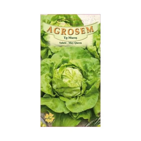 Seminte de salata- May Queen, Agrosem, 4Gr.