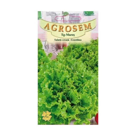 Seminte de salata creata - Gentilina, Agrosem 4Gr.