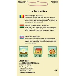 Seminte de salata creata - Gentilina, Agrosem 4Gr.