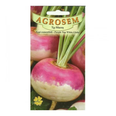 Seminte de napi comestibili - Purple Top White Glob, Agrosem 4Gr.