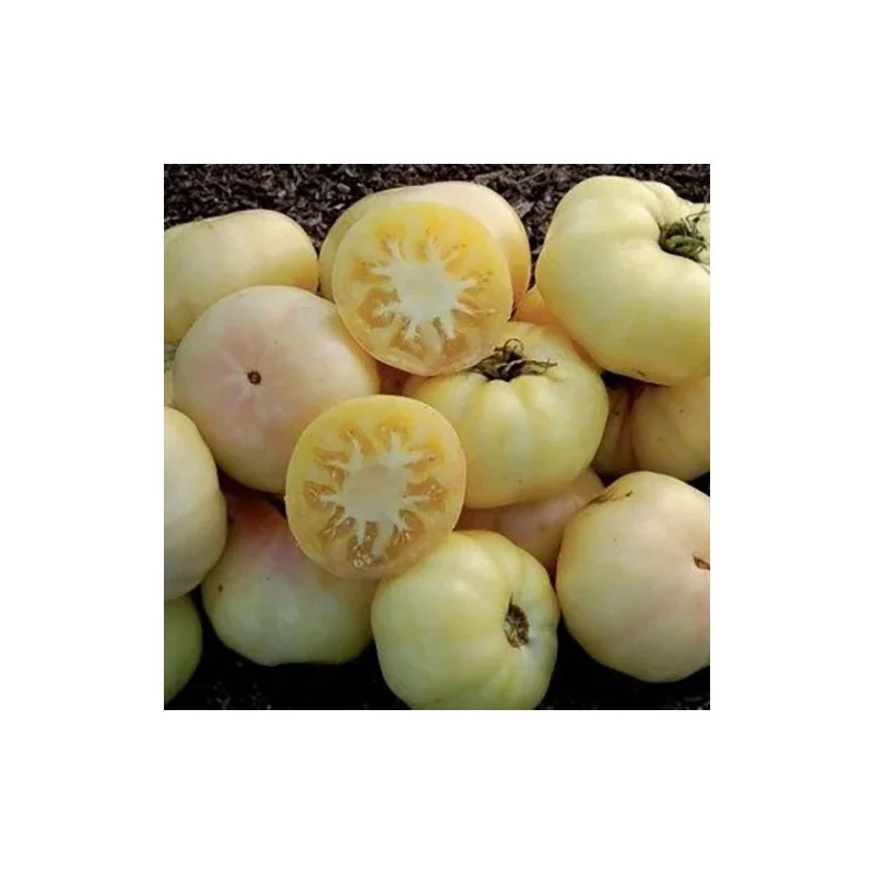 Seminte de tomate galbene mari, Agrosem 4Gr.