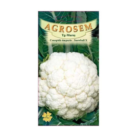 Conopida timpurie - Snowball X, Agrosem 4Gr.