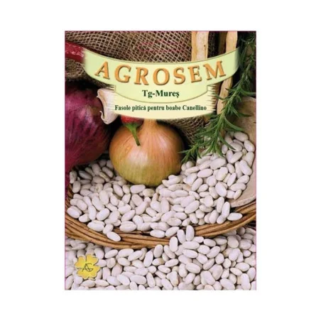 Seminte fasole pitica pentru boabe Canellio, Agrosem 100Gr.