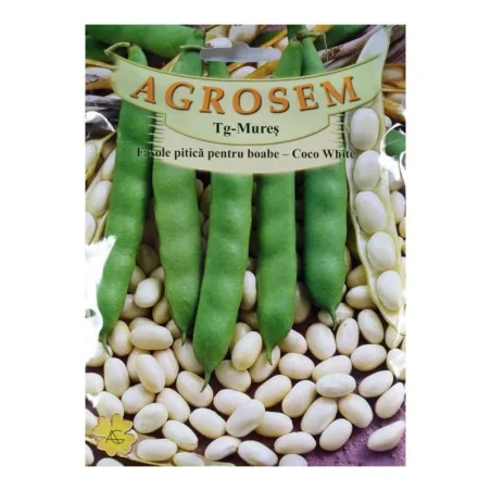 Seminte de fasole pitica pentru boabe - Coco White, Agrosem 100Gr.