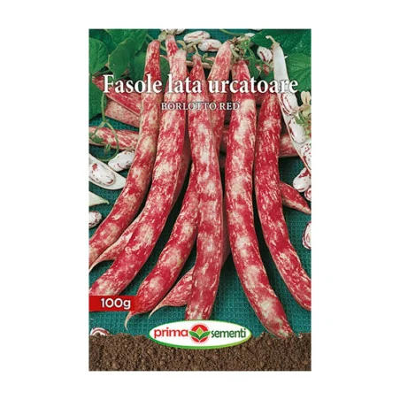 Seminte de fasole urcatoare - Borlotto Red, Prima Sementi 70g