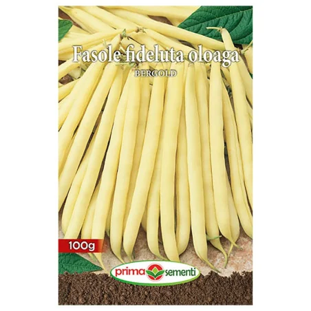 Seminte de fasole fideluta ologa Bergold, Prima Sementi 100g.