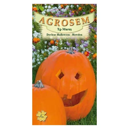 Seminte dovleac Halloween - Howden 4Gr.