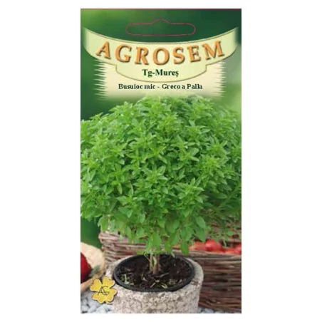 Seminte de busuioc mic Greco e Palla, Agrosem 4Gr.