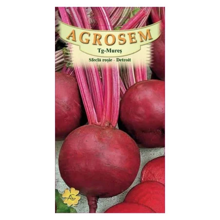 Seminte de sfecla rose - Detroit, Agrosem 4Gr.