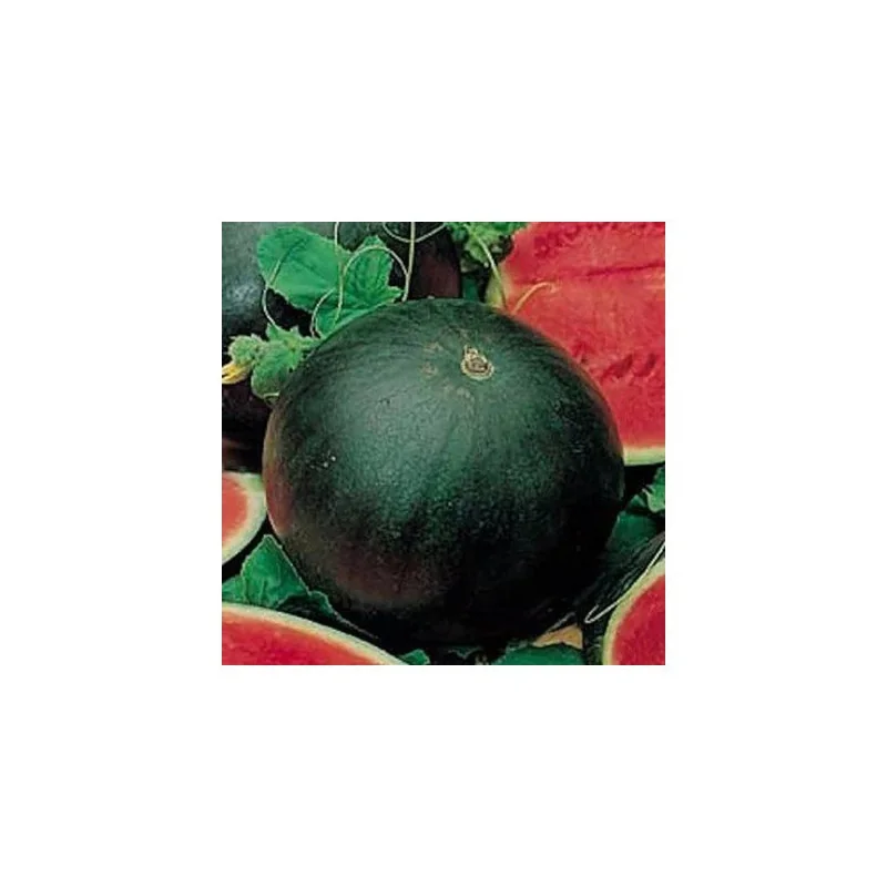 Seminte de pepene verde Sugar Baby, Agrosem 4Gr.