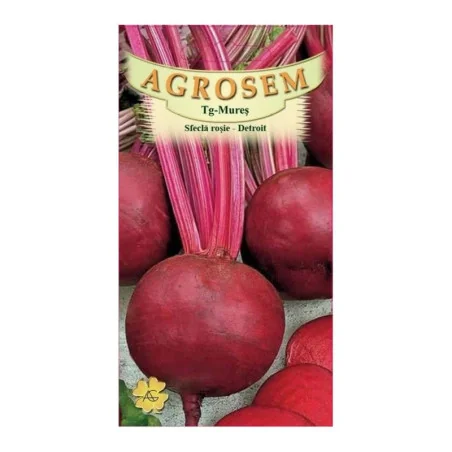 Seminte de sfecla rosie - Detroit, Agrosem 4Gr.